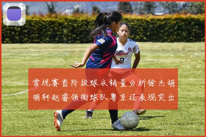 常规赛首阶段球衣销量分析徐杰胡明轩赵睿领衔球队粤京辽表现突出